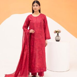 Chikankari CLA-26-0007